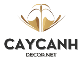 Cây Cảnh